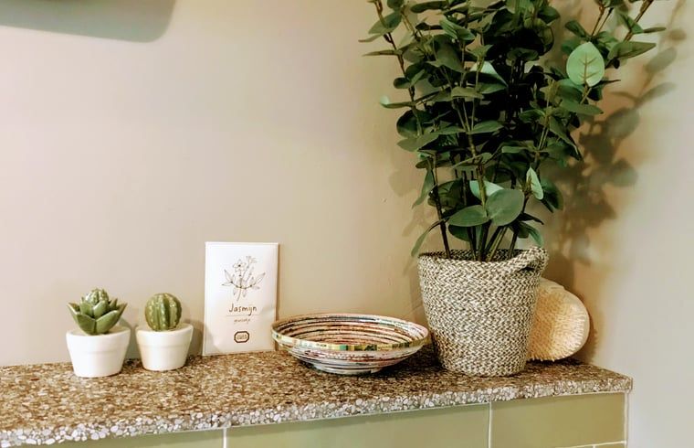 Decoratieve planten in badkamer van Vakantiehuisje in Gemonde, een natuurlijke sfeer in Noord Brabant.