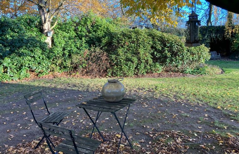 Geniessen Sie den ruhigen Garten des Ferienhauses in Boxtel, Nordbrabant, mit einer rustikalen Terrasse inmitten der ueppigen Natur.