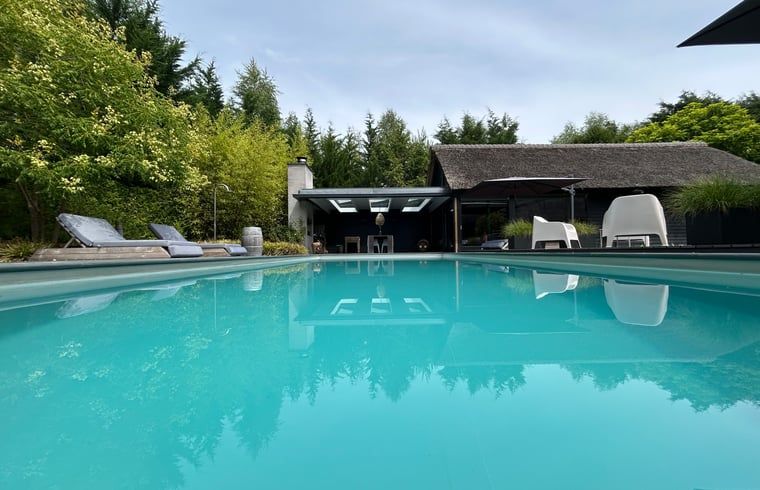 Geniet van het zwembad bij Huisje in Boxtel, een idyllisch vakantiehuis in het Hart van Brabant, Noord Brabant, omgeven door natuur.