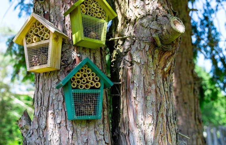 Terrasse mit Sonnenschirm in Haus in Loon op Zand, Ferienhaus in Loon op Zand, Nordbrabant.