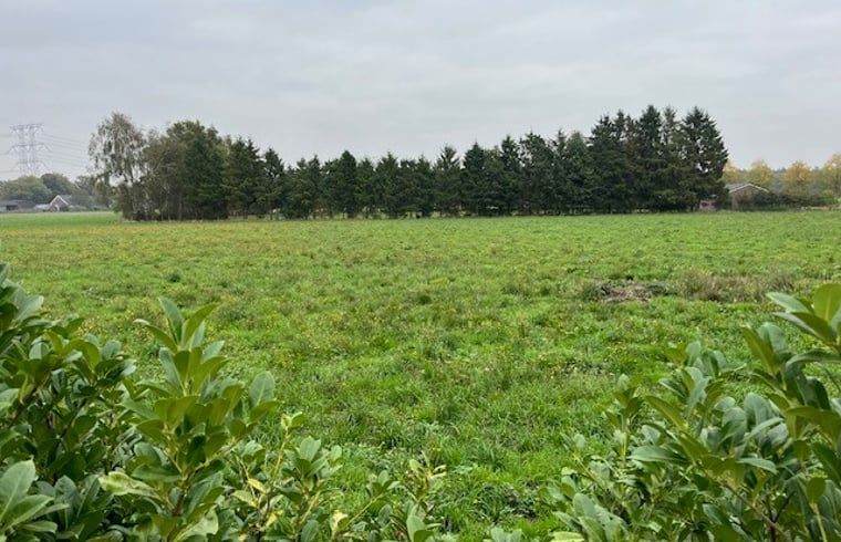 Gruene Felder beim Ferienhaus in De Moer, Herz von Brabant, Nordbrabant.