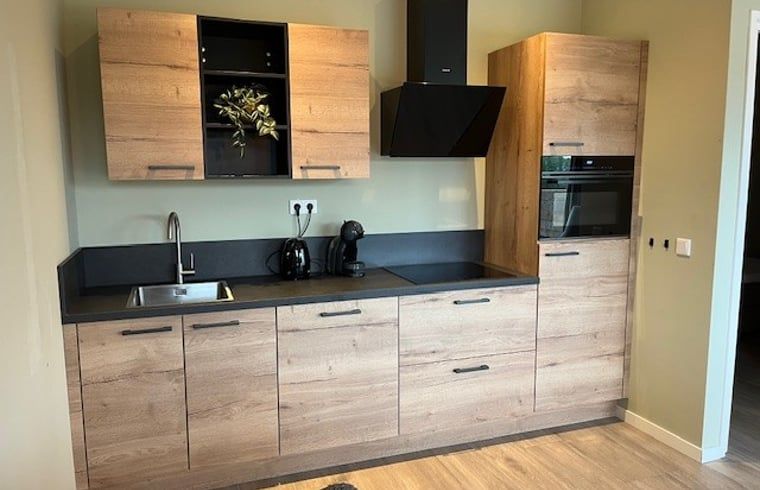 Modern kitchen in Cottage in De Moer, vacation home in Heart of Brabant.