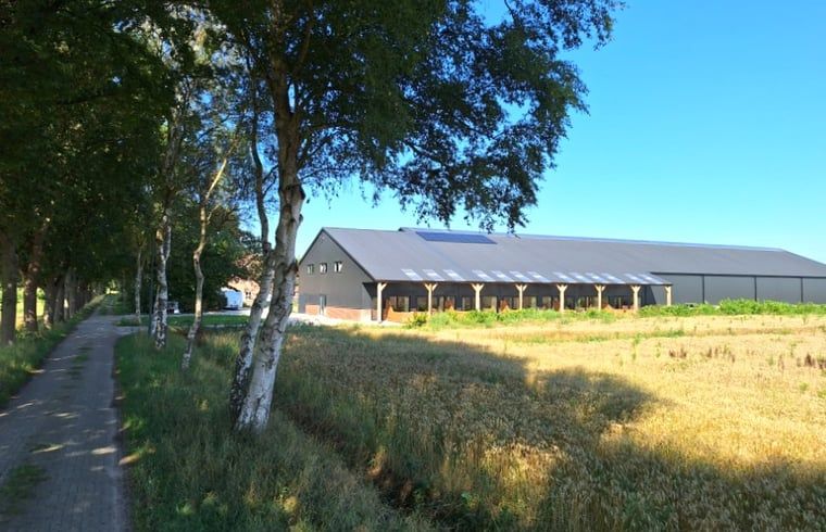 View of the surroundings of Cottage in De Moer, vacation home in Heart of Brabant.