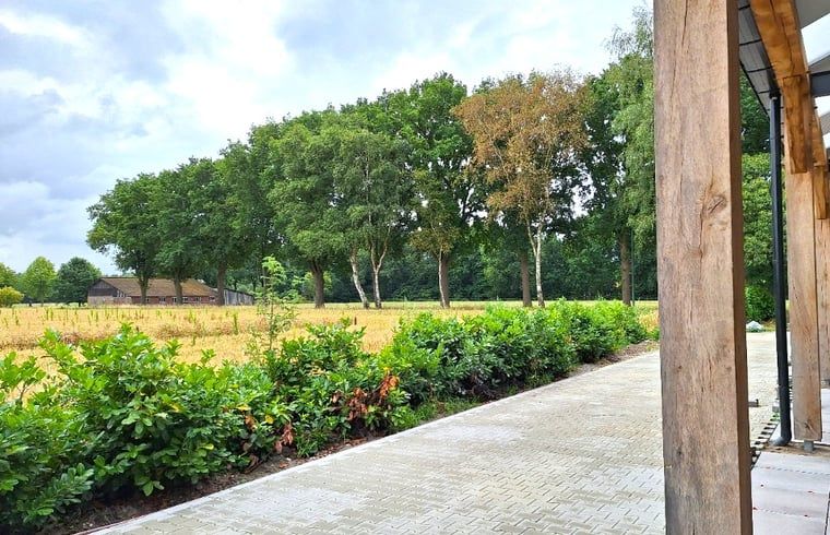 Green surroundings around Cottage in De Moer, vacation home in North Brabant.