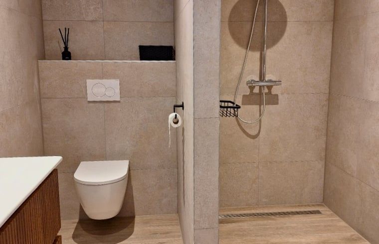 Modernes Badezimmer in Cottage in De Moer, Ferienhaus in Nordbrabant, mit geraeumiger Dusche und stilvollem Design.