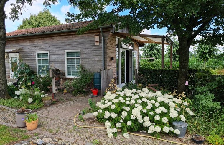 Charmante buitenkant van Vakantiehuisje in Tilburg met bloemen.
