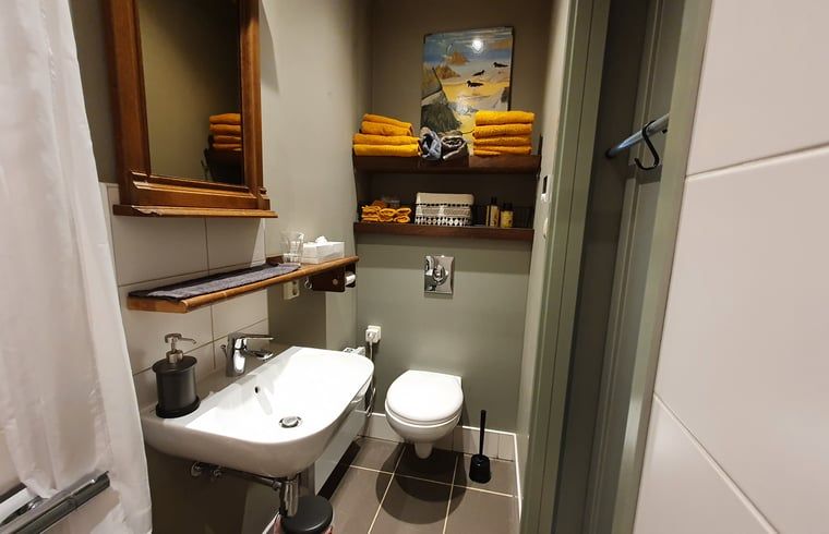 Moderne badkamer met douche in Vakantiehuisje in Tilburg.