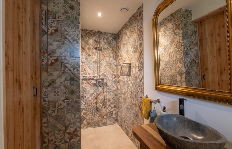 Stijlvolle badkamer in Huisje in Best, vakantiehuis in Best, Hart van Brabant, Noord Brabant, met mozaiektegels.