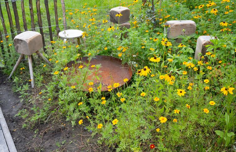 Bloementuin bij Huisje in Best, vakantiehuis in Best, Hart van Brabant, Noord Brabant, met kleurrijke bloemenpracht.