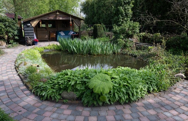 Vakantiehuisje in Best met vijverzicht, serene omgeving in Hart van Brabant, Noord Brabant.