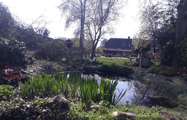 Natuurlijke tuin bij Vakantiehuisje in Best, rustgevende omgeving in Hart van Brabant, Noord Brabant.