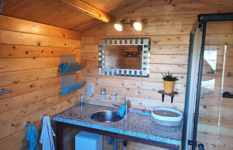 Moderne badkamer in Vakantiehuisje in Best, comfortabele voorzieningen in Hart van Brabant, Noord Brabant.