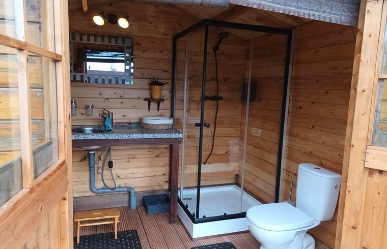 Stijlvolle douche in Vakantiehuisje in Best, luxe badkamer in Hart van Brabant, Noord Brabant.