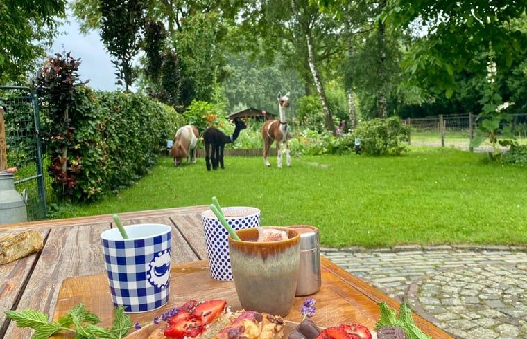 Ontbijt met uitzicht op dieren bij Vakantiehuisje in Best, landelijke sfeer in Hart van Brabant, Noord Brabant.