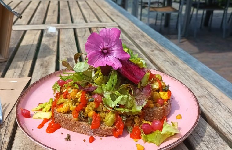 Gezonde maaltijd bij Vakantiehuisje in Best, culinaire ervaring in Hart van Brabant, Noord Brabant.