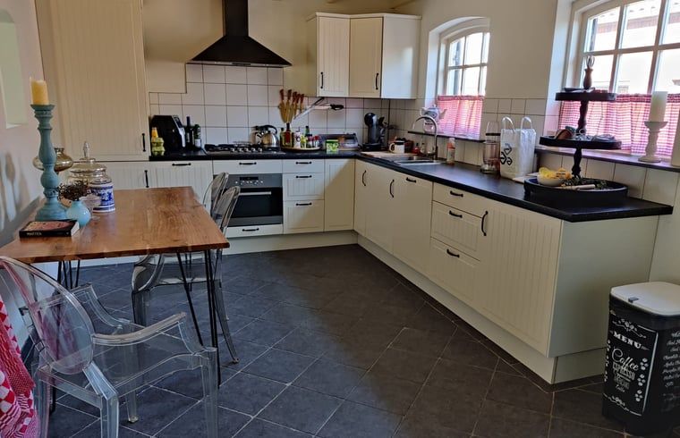 Modern kitchen in Holiday home in Best, located in the heart of Brabant, North Brabant, with stylish decor and natural light.