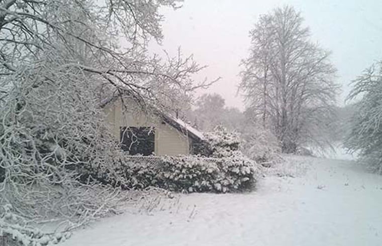 Unterkunft 430107 - Ferienhaus Noordoost Brabant - Vakantiehuisje in Nuland