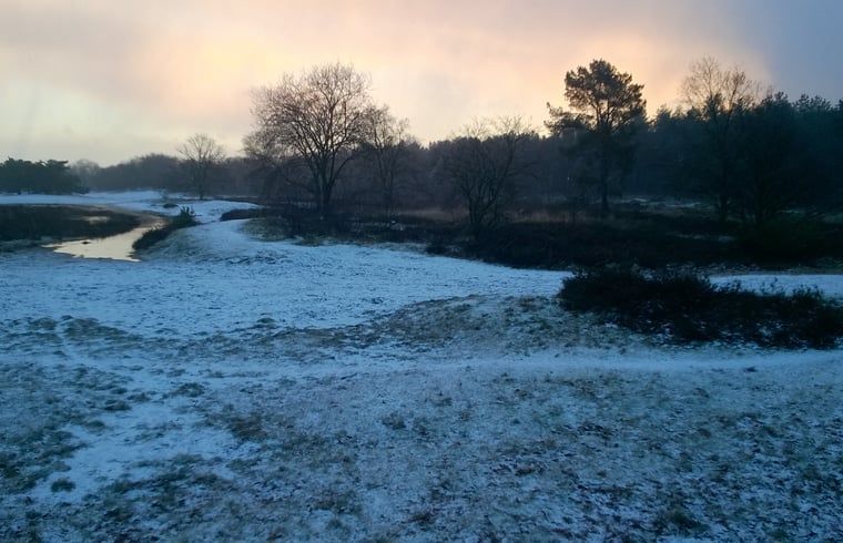 Unterkunft 430107 - Ferienhaus Noordoost Brabant - Vakantiehuisje in Nuland