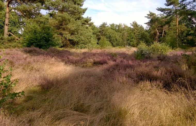 Unterkunft 430107 - Ferienhaus Noordoost Brabant - Vakantiehuisje in Nuland