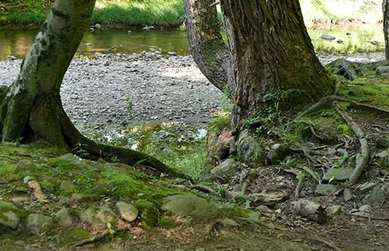 Unterkunft 430107 - Ferienhaus Noordoost Brabant - Vakantiehuisje in Nuland