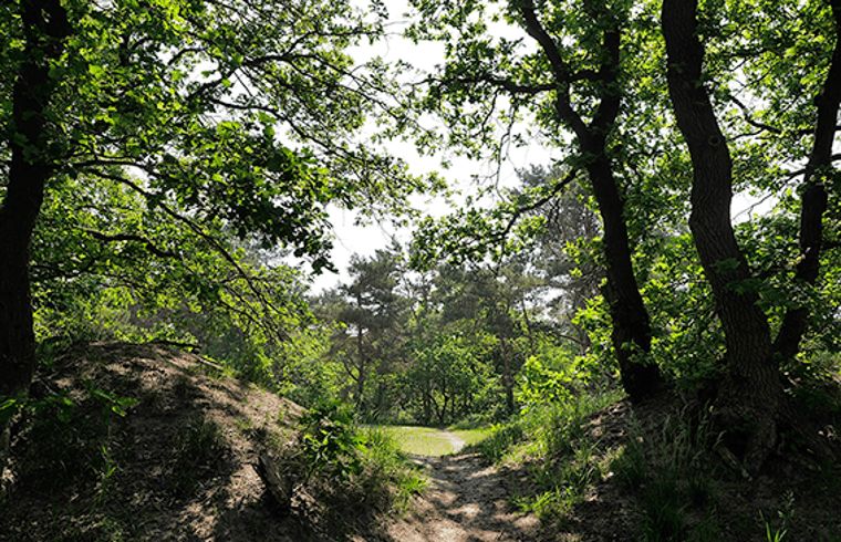 Unterkunft 430107 - Ferienhaus Noordoost Brabant - Vakantiehuisje in Nuland