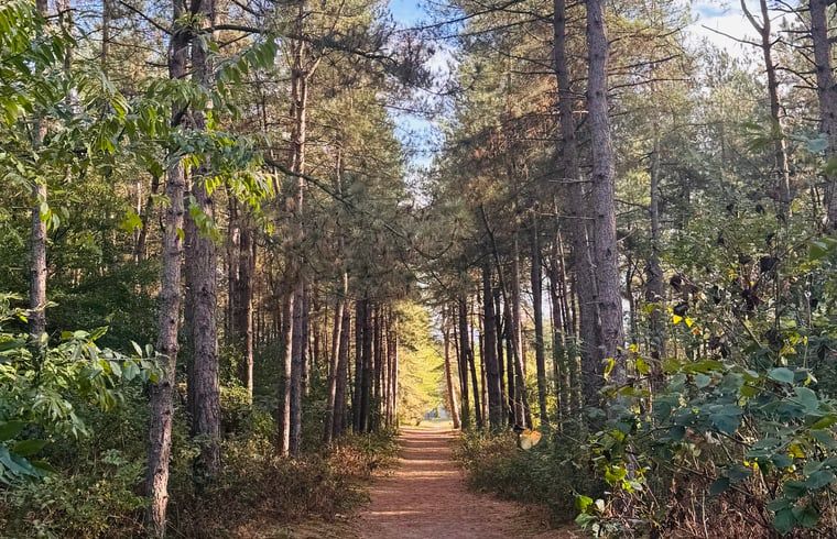 Unterkunft 430109 - Ferienhaus Noordoost Brabant - Vakantiehuis in Nuland