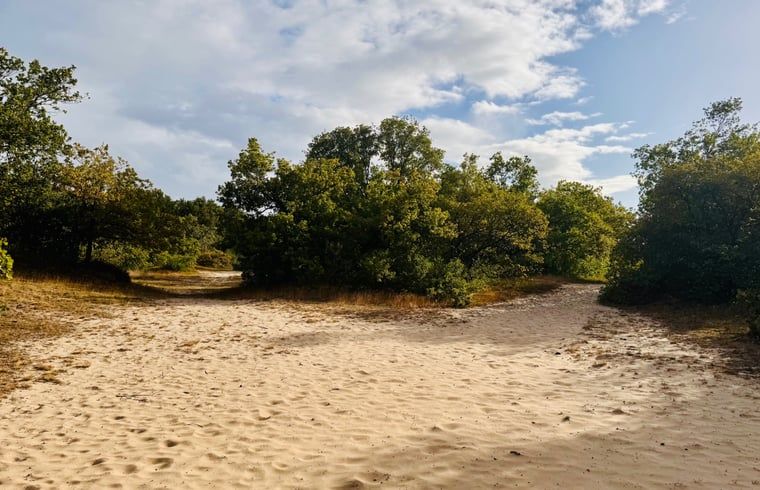 Unterkunft 430109 - Ferienhaus Noordoost Brabant - Vakantiehuis in Nuland