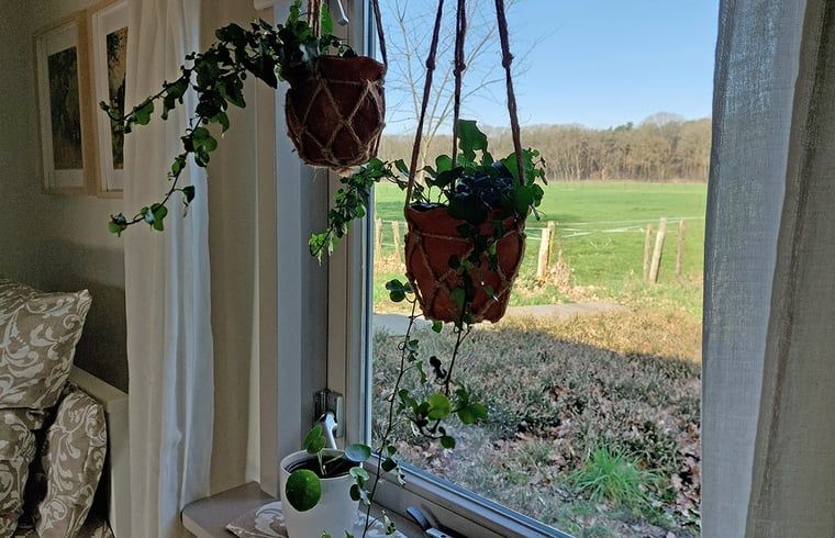 Unterkunft 430110 - Ferienhaus Noordoost Brabant - Huisje in Nuland