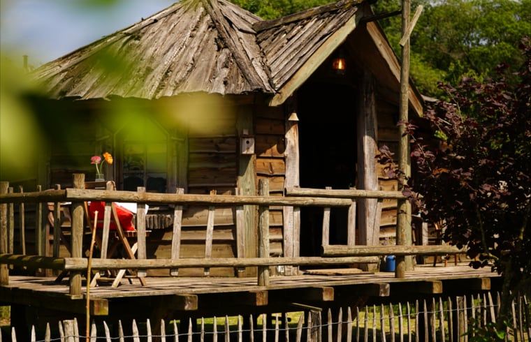 Guest house 430305 - Holiday property Noordoost Brabant - Huisje in Mill