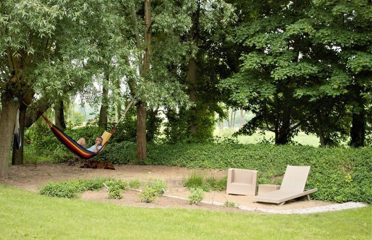 Guest house 430313 - Holiday property Noordoost Brabant - Huisje in Mill