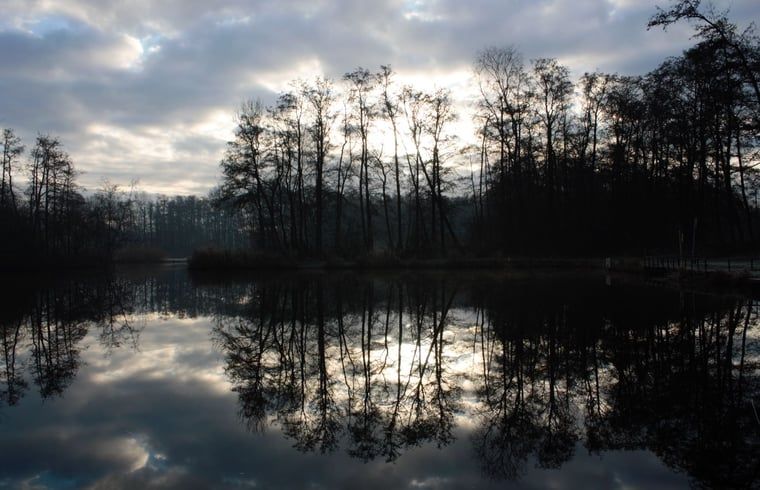 Guest house 430313 - Holiday property Noordoost Brabant - Huisje in Mill