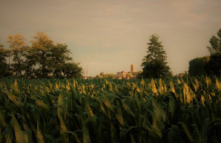 Guest house 430313 - Holiday property Noordoost Brabant - Huisje in Mill