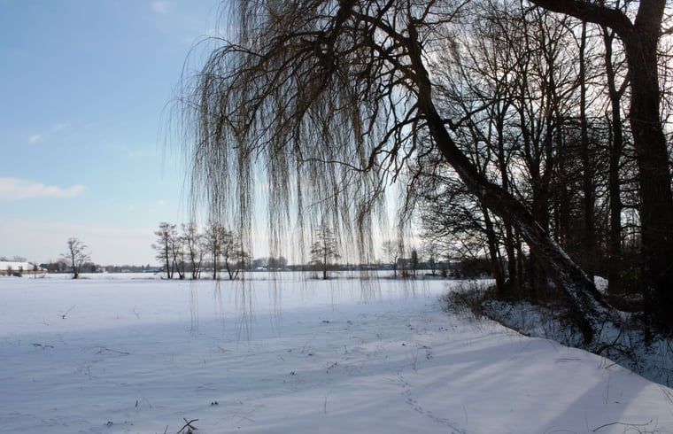 Guest house 430313 - Holiday property Noordoost Brabant - Huisje in Mill