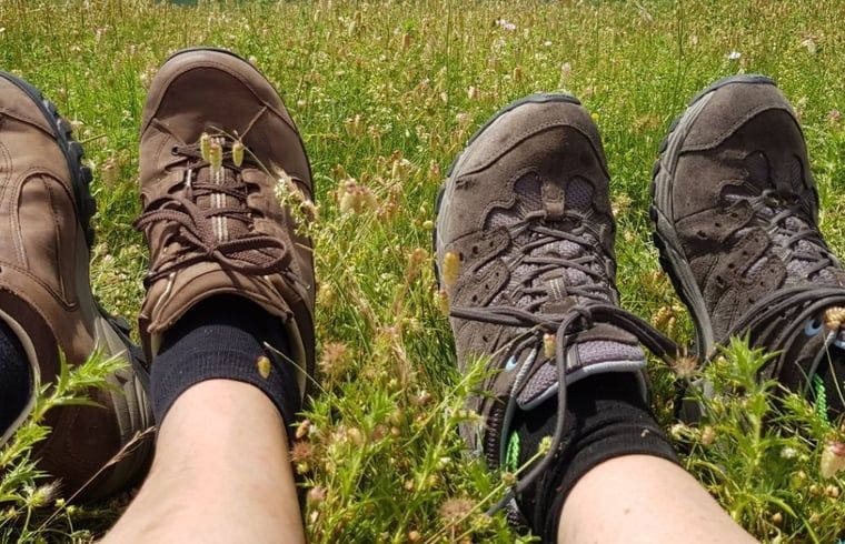 Guest house 430313 - Holiday property Noordoost Brabant - Huisje in Mill