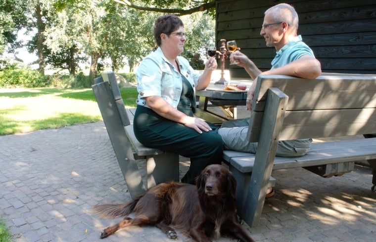 Guest house 430313 - Holiday property Noordoost Brabant - Huisje in Mill