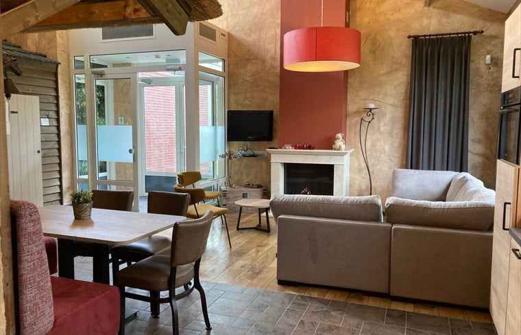 Stijlvolle zithoek met open haard in Vakantiehuis in Schaijk, Noord Brabant, ideaal voor ontspanning.