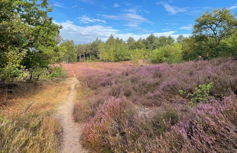 Guest house 430518 - Holiday property Noordoost Brabant - Vakantiehuis in Overloon