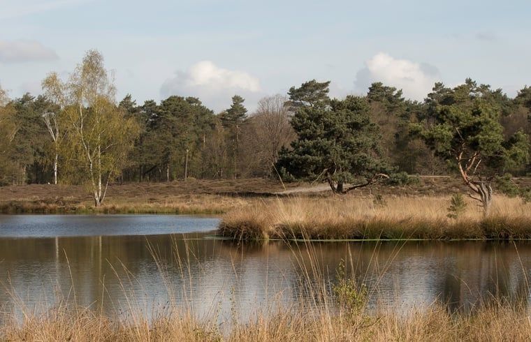 Guest house 430518 - Holiday property Noordoost Brabant - Vakantiehuis in Overloon