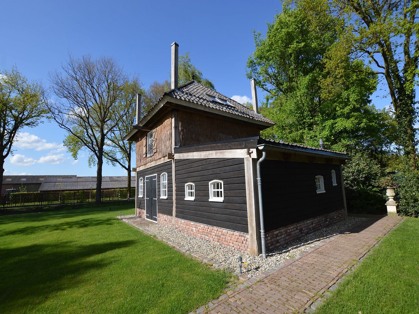 Image 7