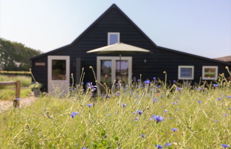 Huisje in Volkel omgeven door wilde bloemen in Noordoost Brabant, Noord Brabant.