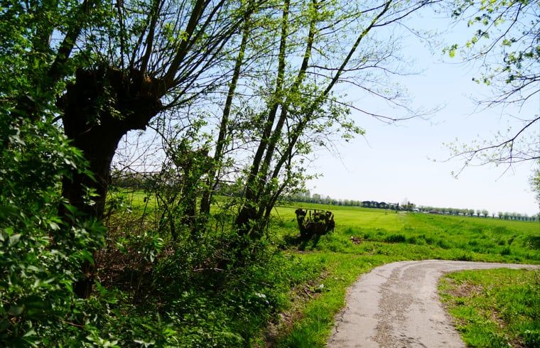 Pittoresk landschap bij Huisje in Volkel, vakantiehuis in Noordoost Brabant.