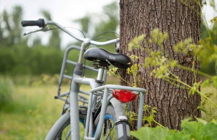 Fietsen leunend tegen boom bij Huisje in Volkel, Noordoost Brabant, Noord Brabant.