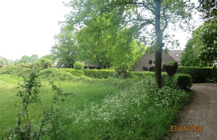 Picture 1