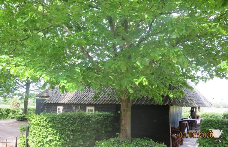 Picture 16