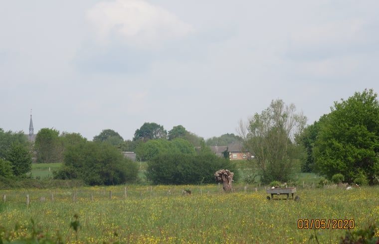 Picture 20