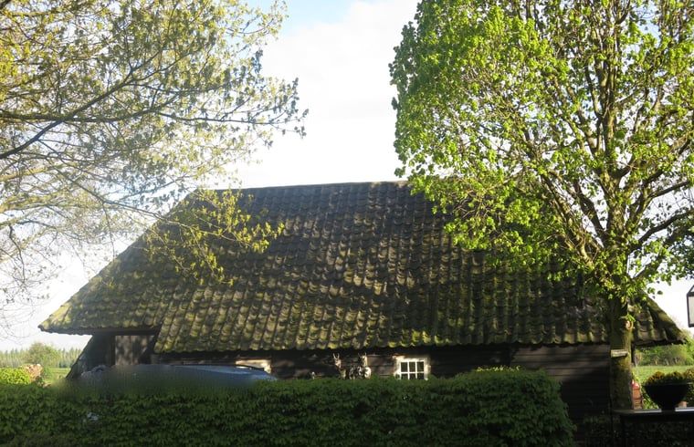 Rustieke houten schuur in de zon bij Vakantiehuis in Oeffelt, Noord Brabant.