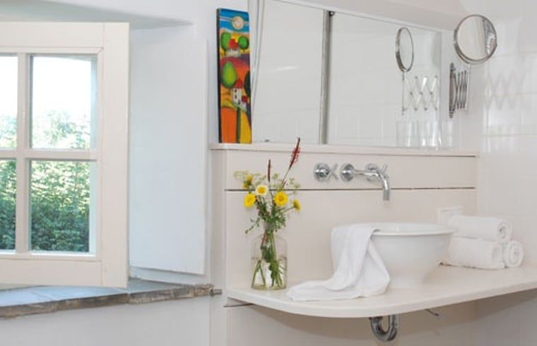 Frisse badkamer met bloemen in Vakantiehuis in Oeffelt, Noordoost Brabant.