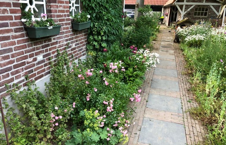 Overdekt terras met glazen wanden bij Vakantiehuisje in Cuijk, Noordoost Brabant, Noord Brabant.