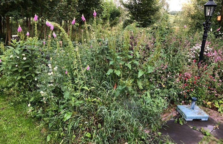 Overdekte entree van Vakantiehuisje in Cuijk, Noordoost Brabant, Noord Brabant.