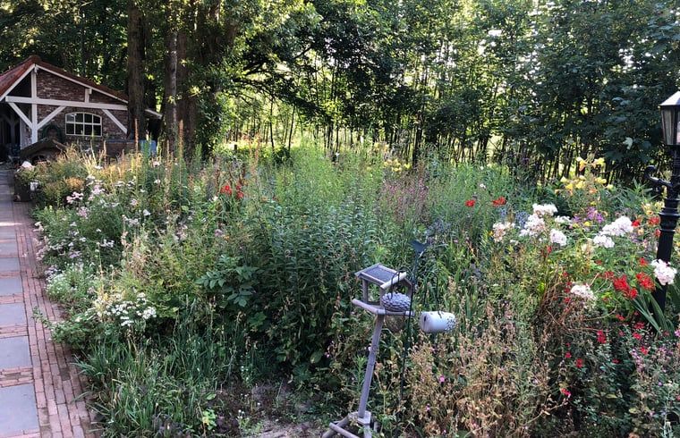 Weelderige tuin bij Vakantiehuisje in Cuijk, Noordoost Brabant, Noord Brabant.